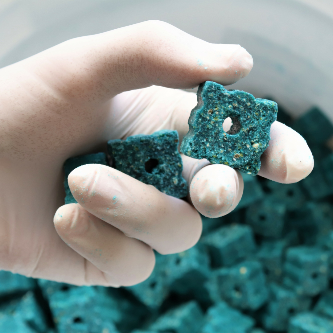 Exploring the Benefits of Bait Pulsing in Predator Control