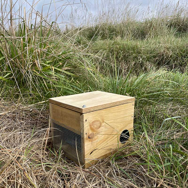 BT200 Trap and Box Set