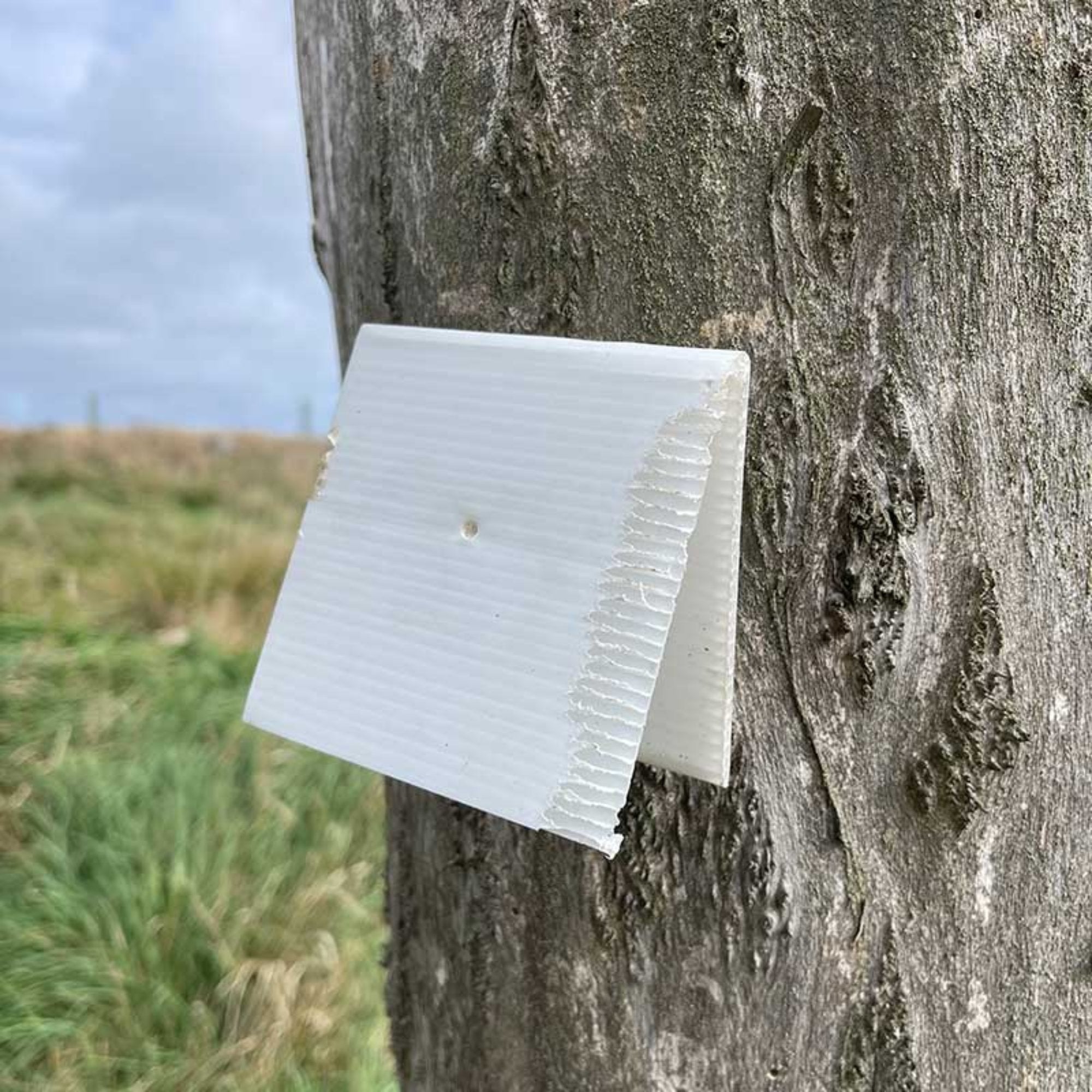 Predator Tracking Chew Card Bite Marks
