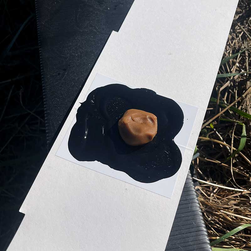 Possum & Rat Dough - Vanilla Citrus