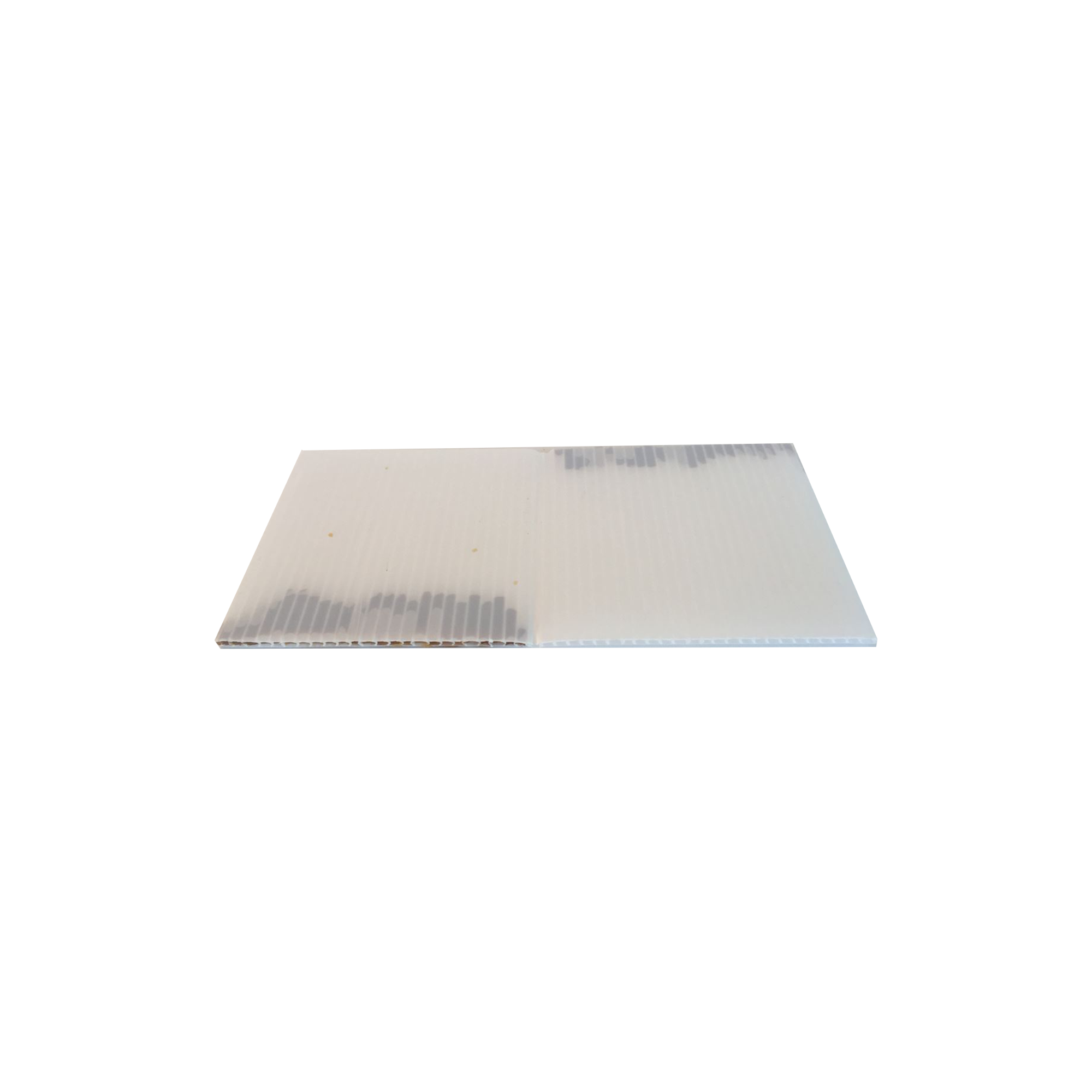 Predator Tracking Chew Card - Peanut