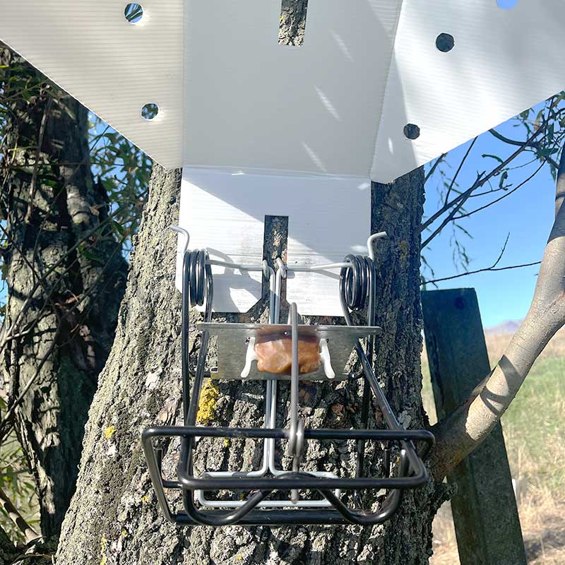 Sentinel Possum Kill Trap