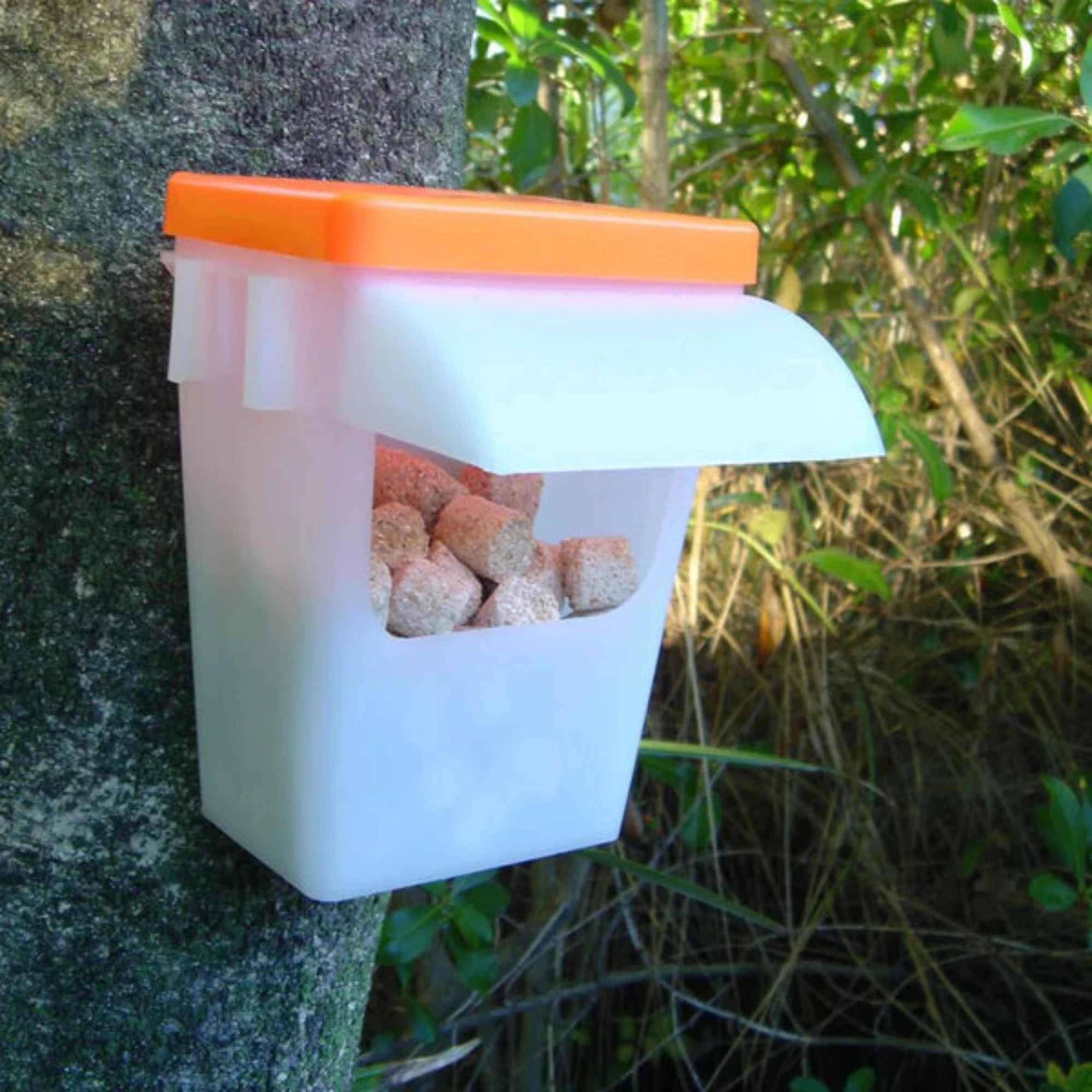 Sentry Bait Station in the Field NZ