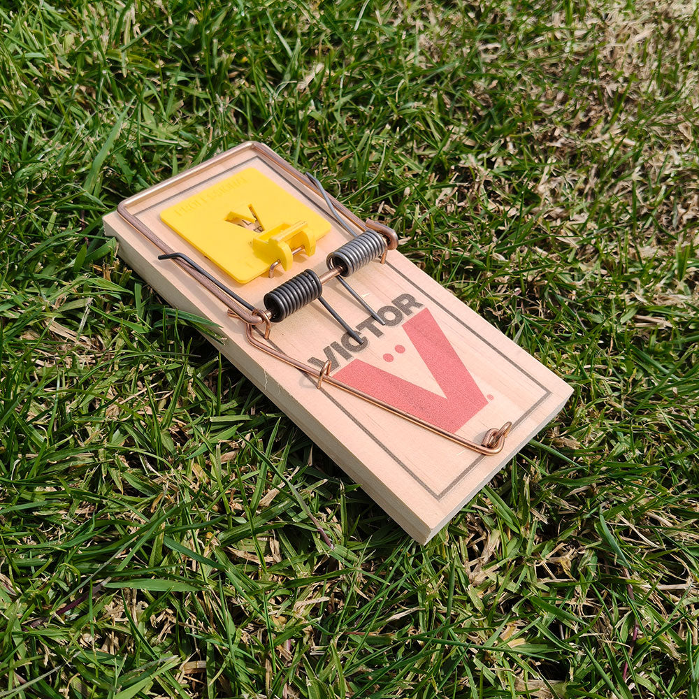12 x Victor Professional Rat Traps