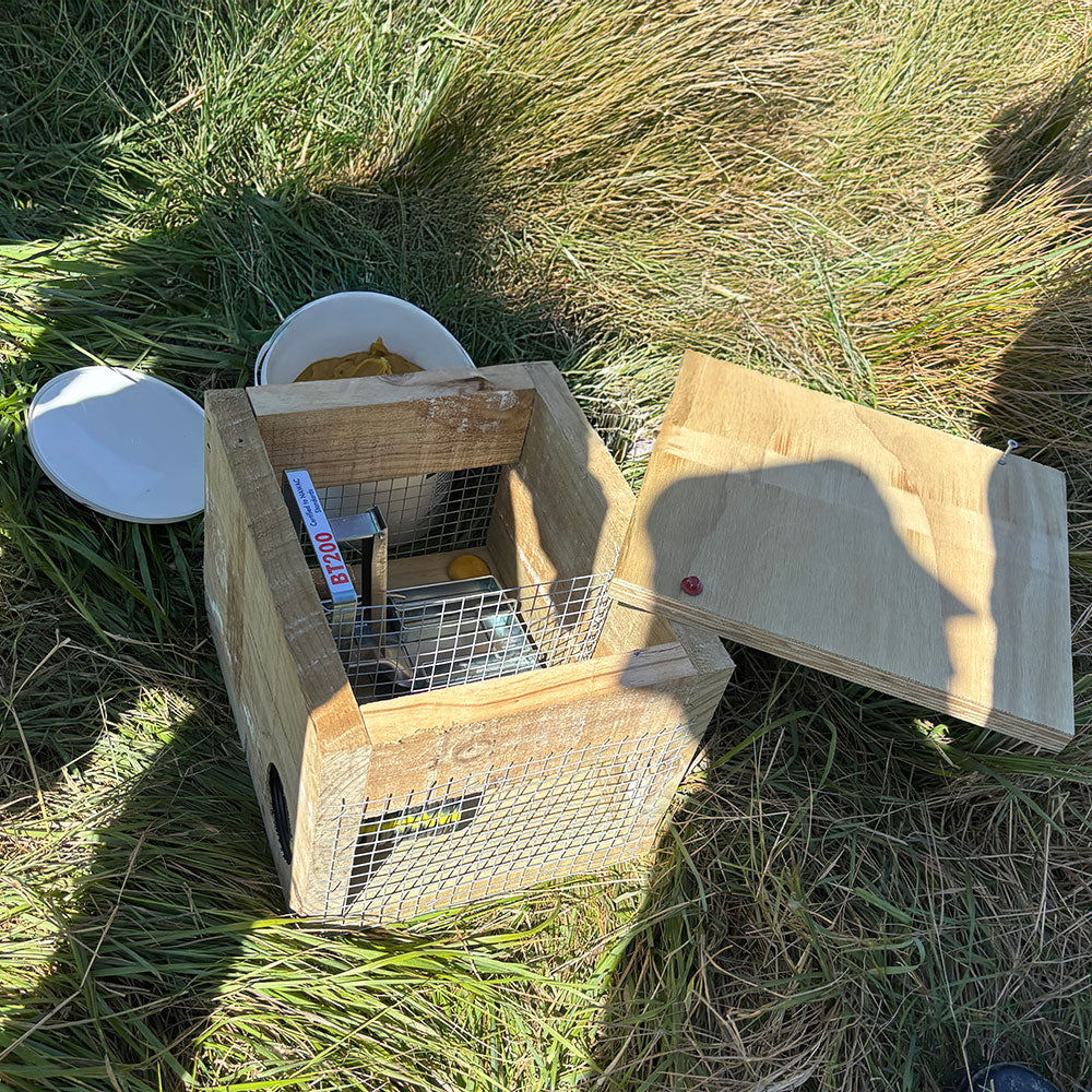 BT200 Trap and Box Set